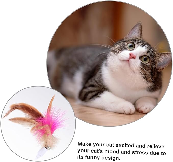 Interactive Funny Cat Collar Teaser Toy