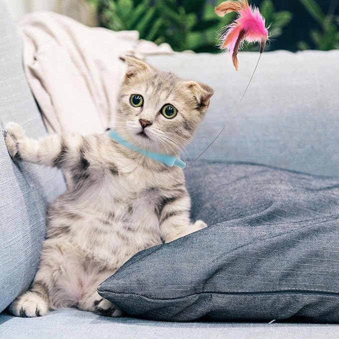 Interactive Funny Cat Collar Teaser Toy