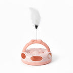 Arched Cat Track Toy With Teaser Stick