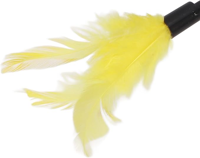 Cats Feather Egg Shape Tumbler Toy - With Feather