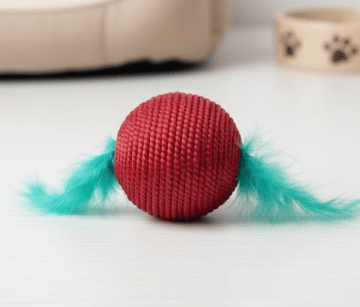 Giggly Sisal Ball Toy