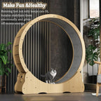 Imported Cat Running Wheel Large