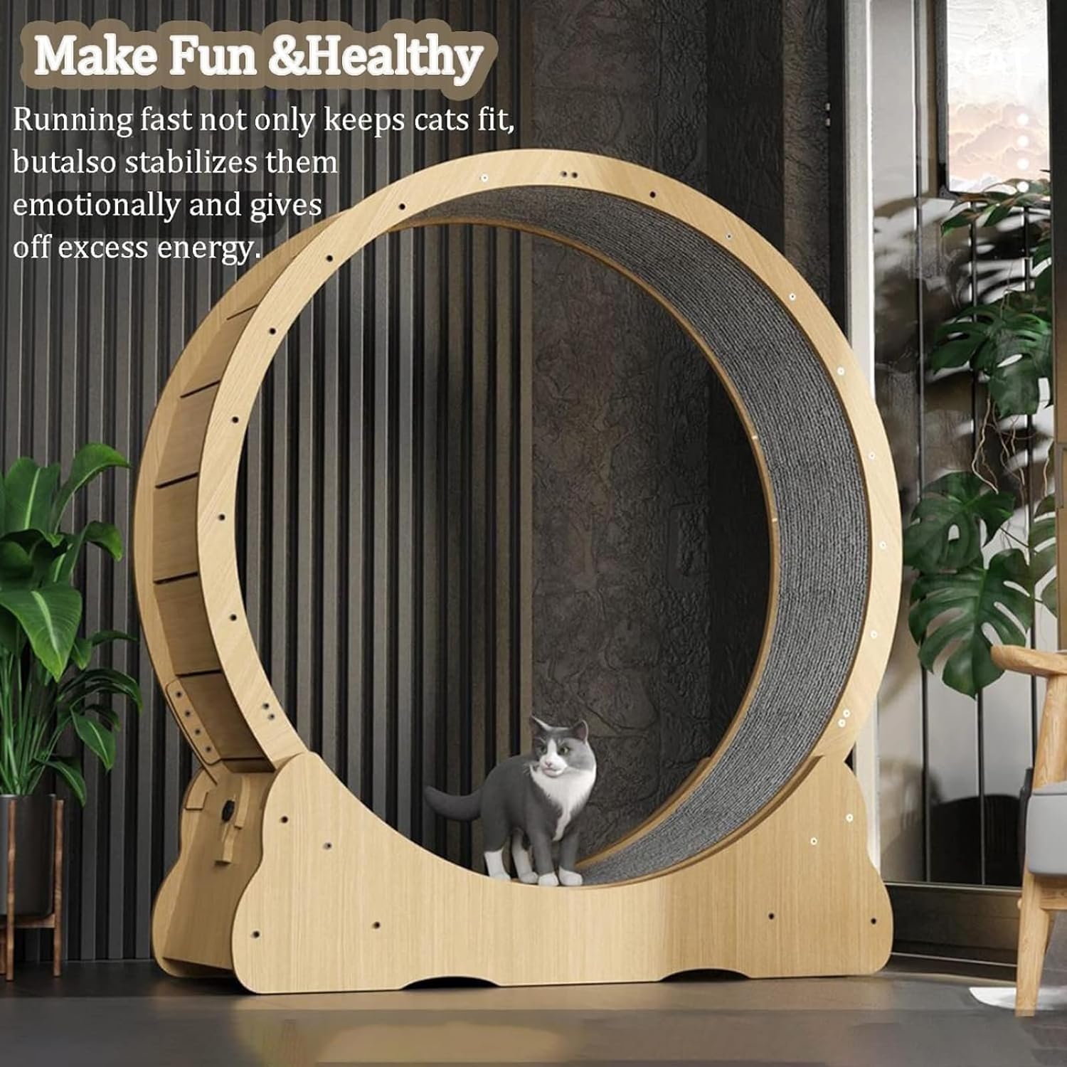 Imported Cat Running Wheel Large