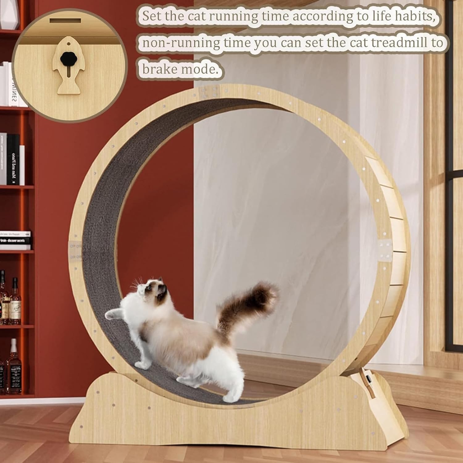 Imported Cat Running Wheel Large