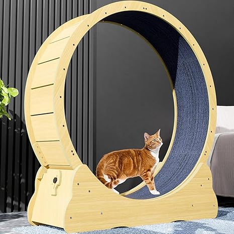 Imported Cat Running Wheel Large