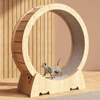 Imported Cat Running Wheel Large