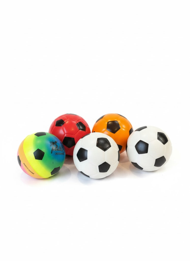 Interactive Pet Soccer Ball Toy