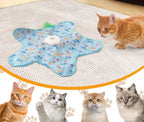 Star Fish Cat Interactive Chargeable Toy