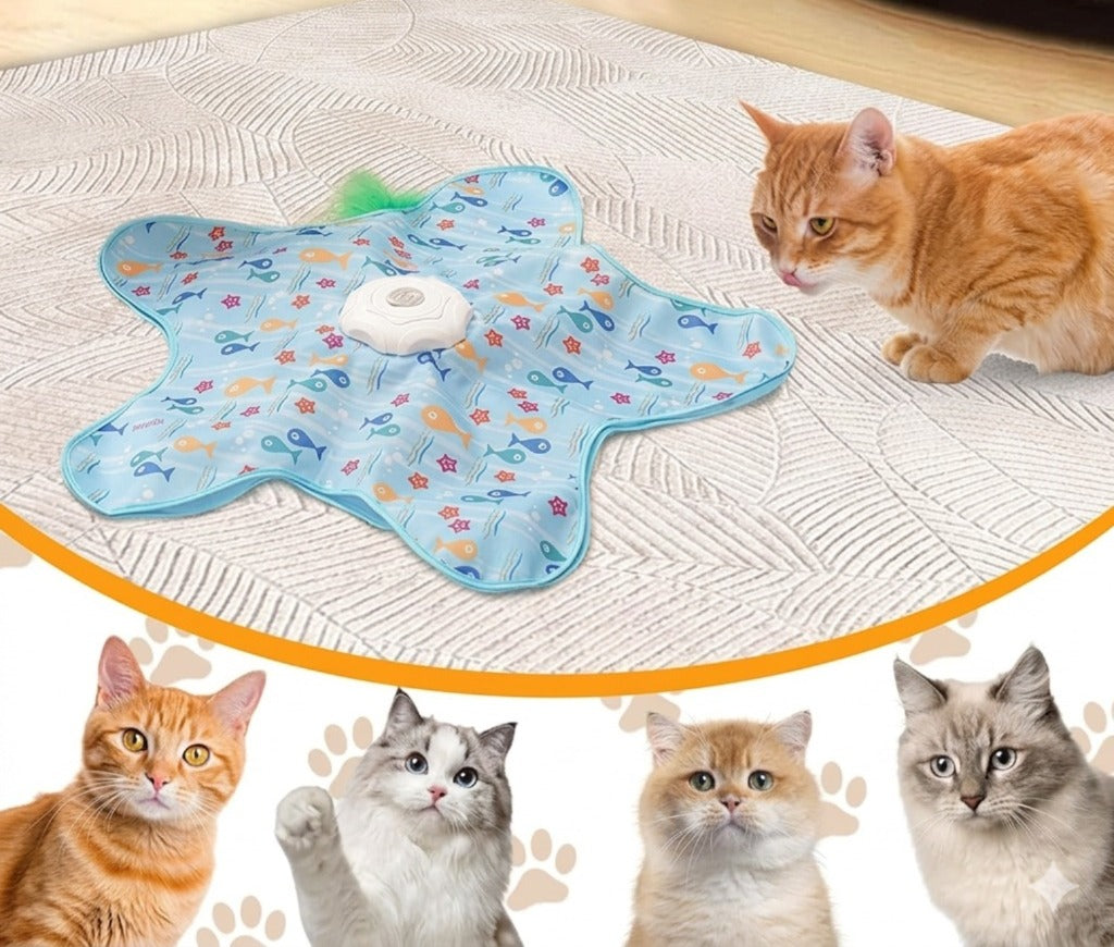 Star Fish Cat Interactive Chargeable Toy
