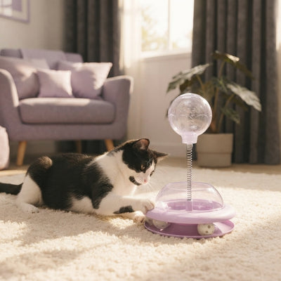 Finally a toy that lasts longer than the box it came in!